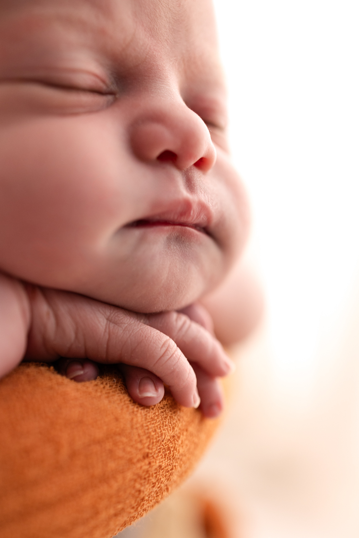 Book newborn curitiba