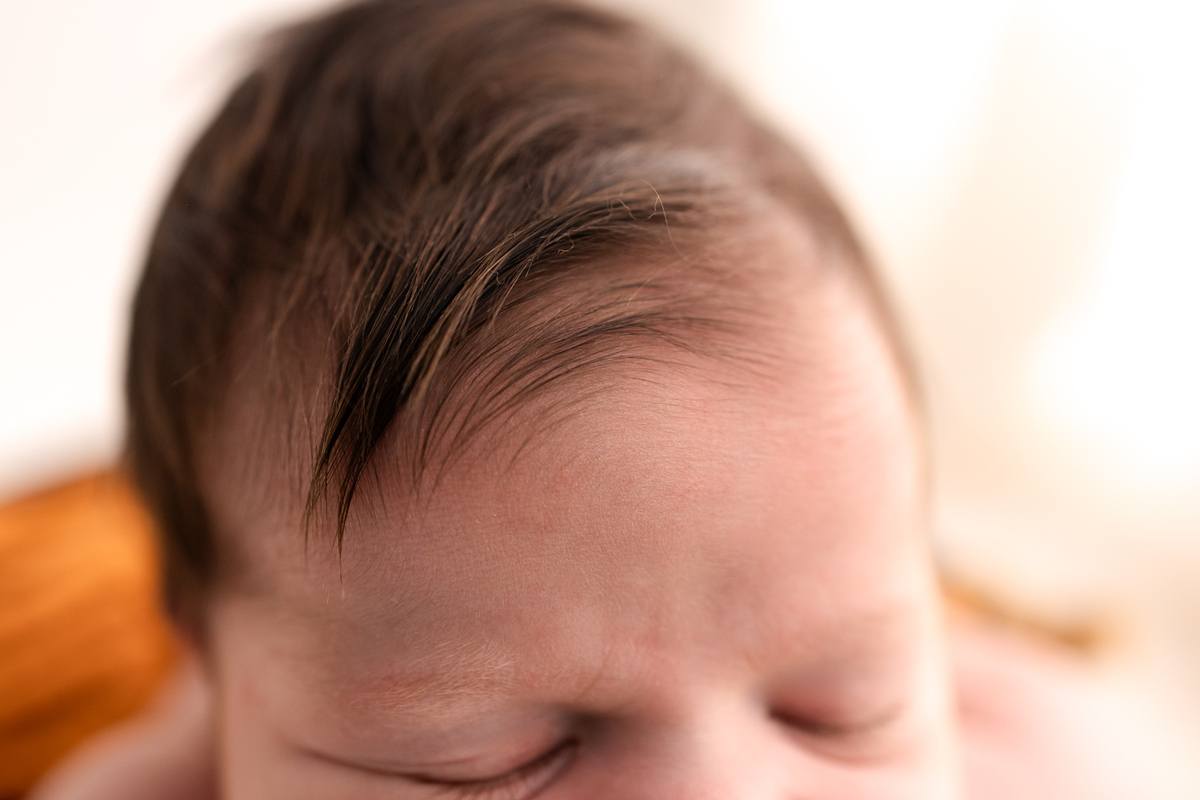 Book newborn curitiba