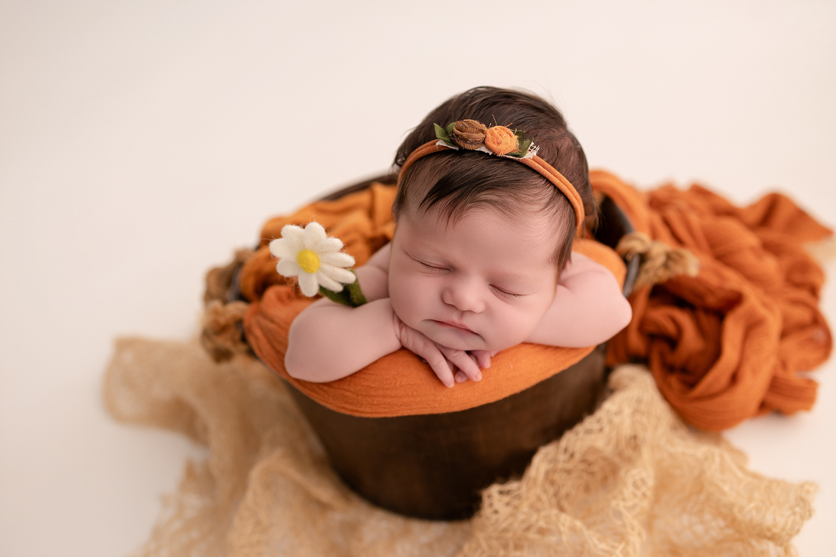 Book newborn curitiba