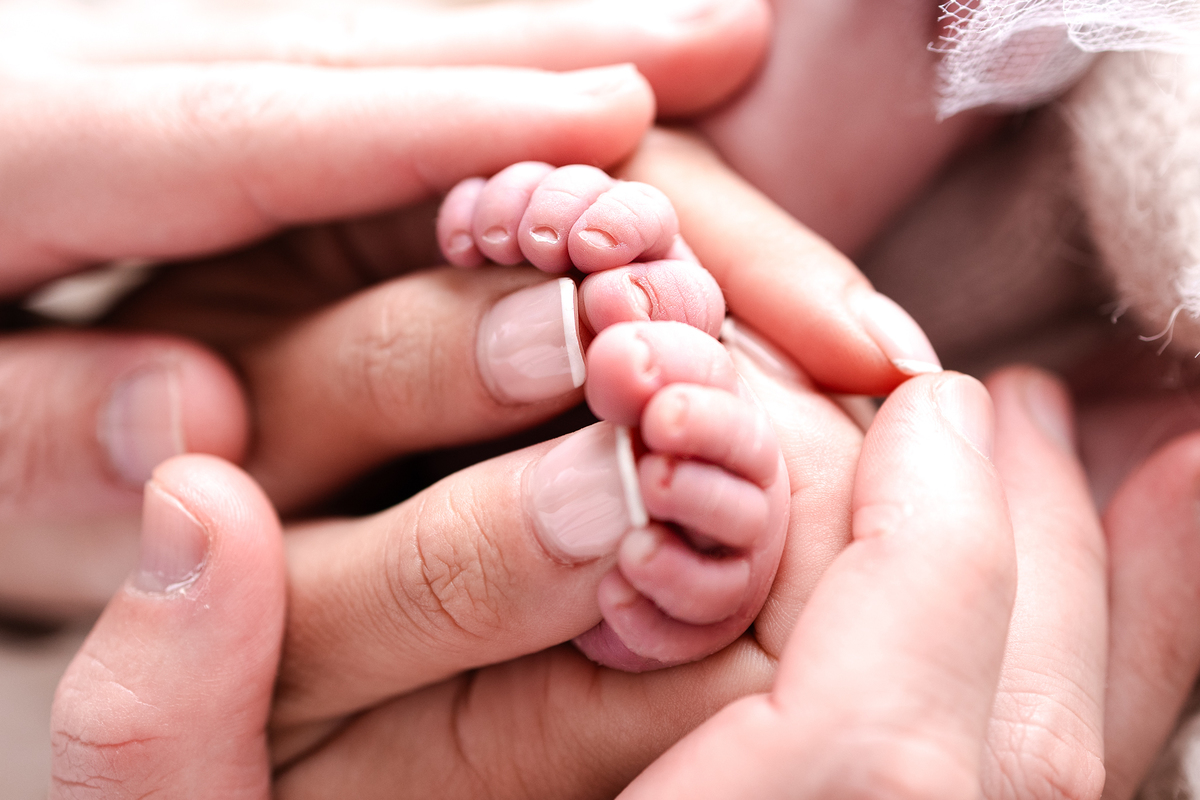 Book newborn curitiba