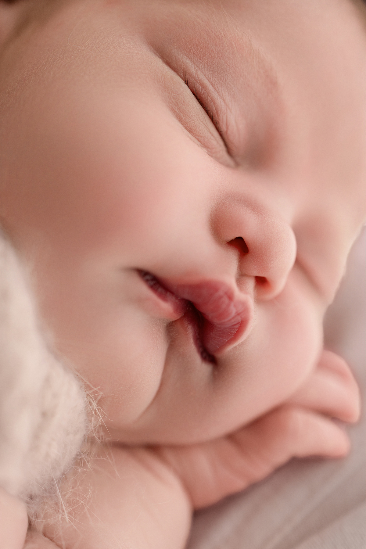 Book newborn curitiba