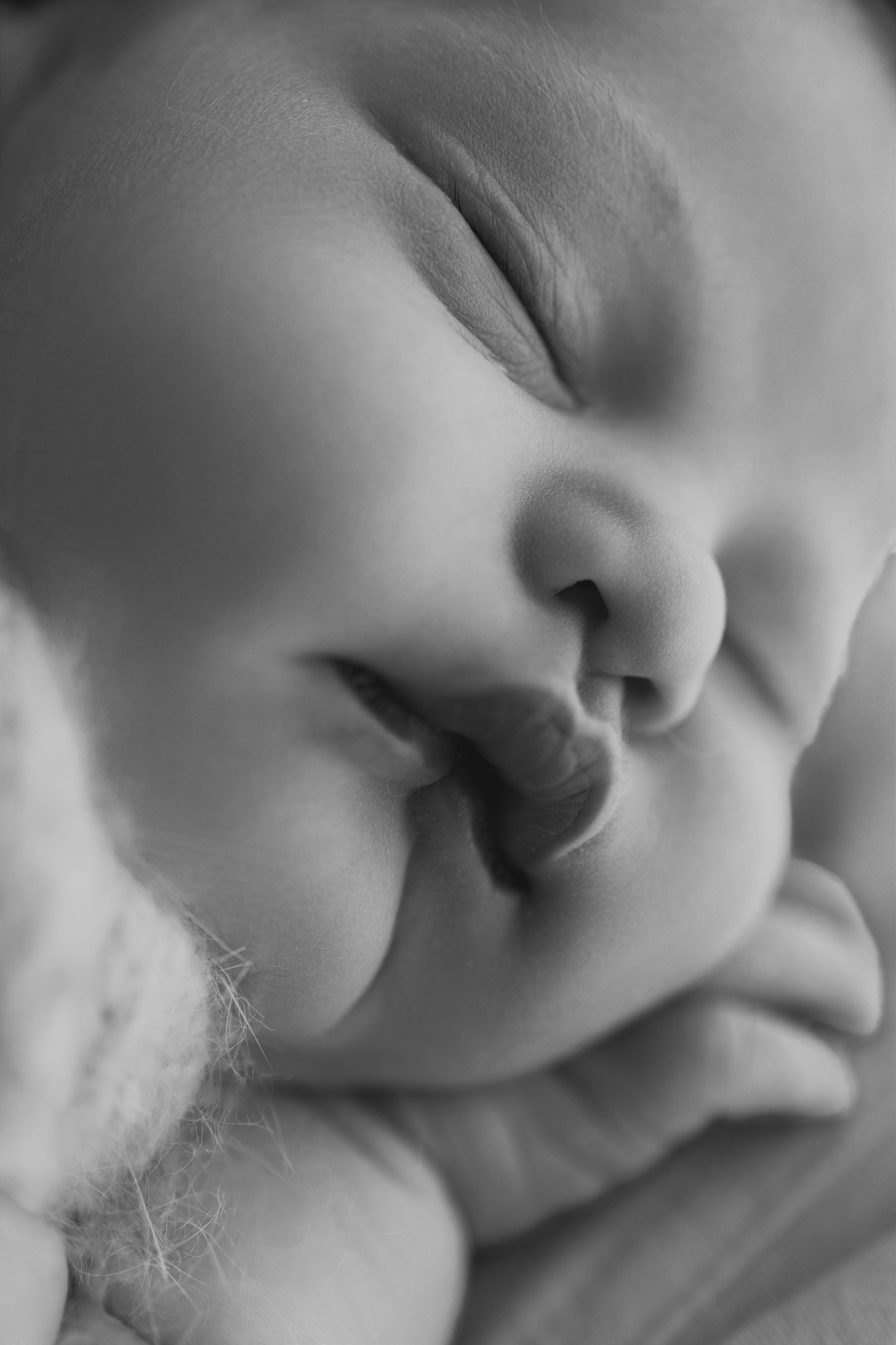 Book newborn curitiba