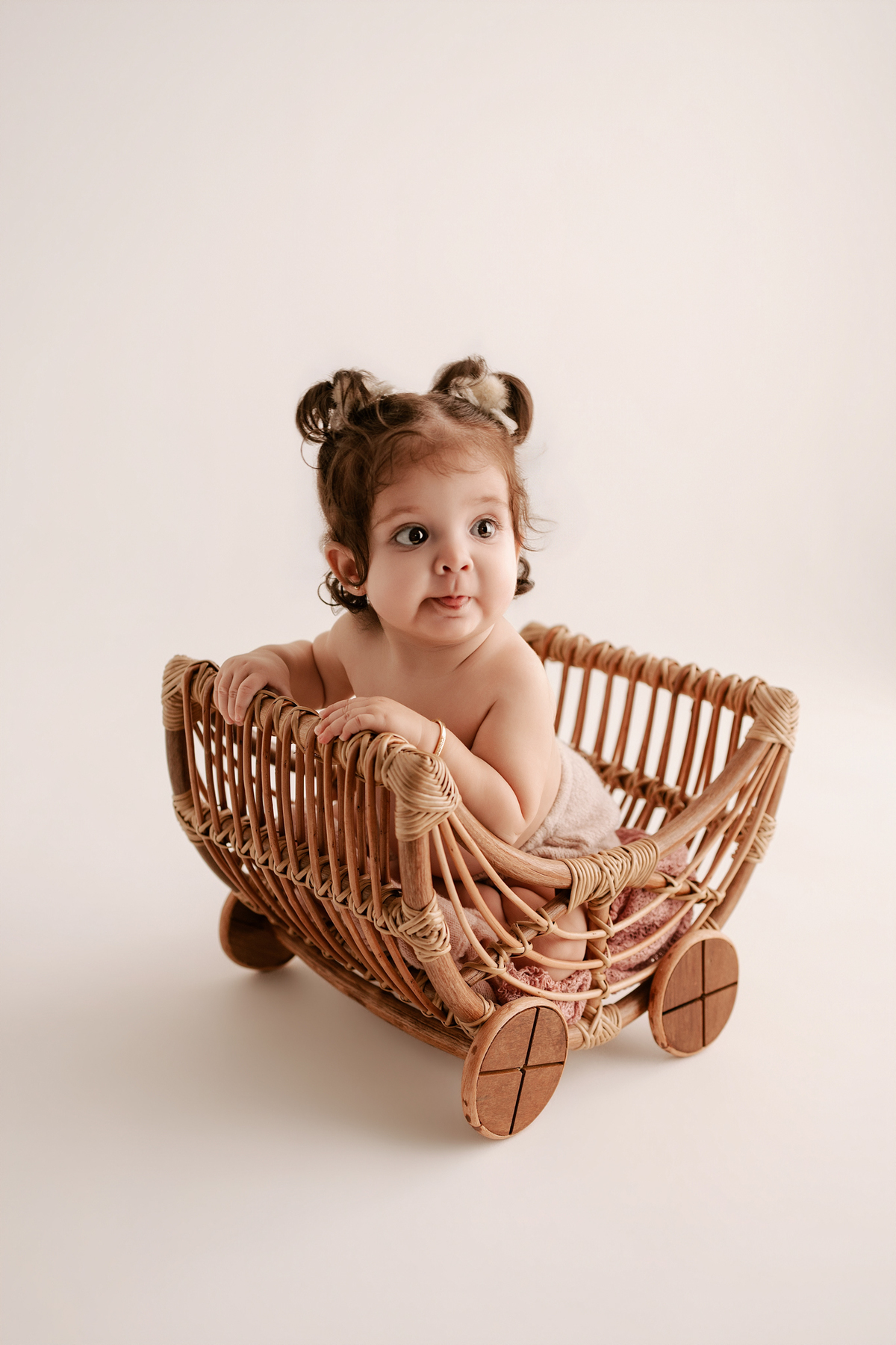 acompanhamento trimestal book