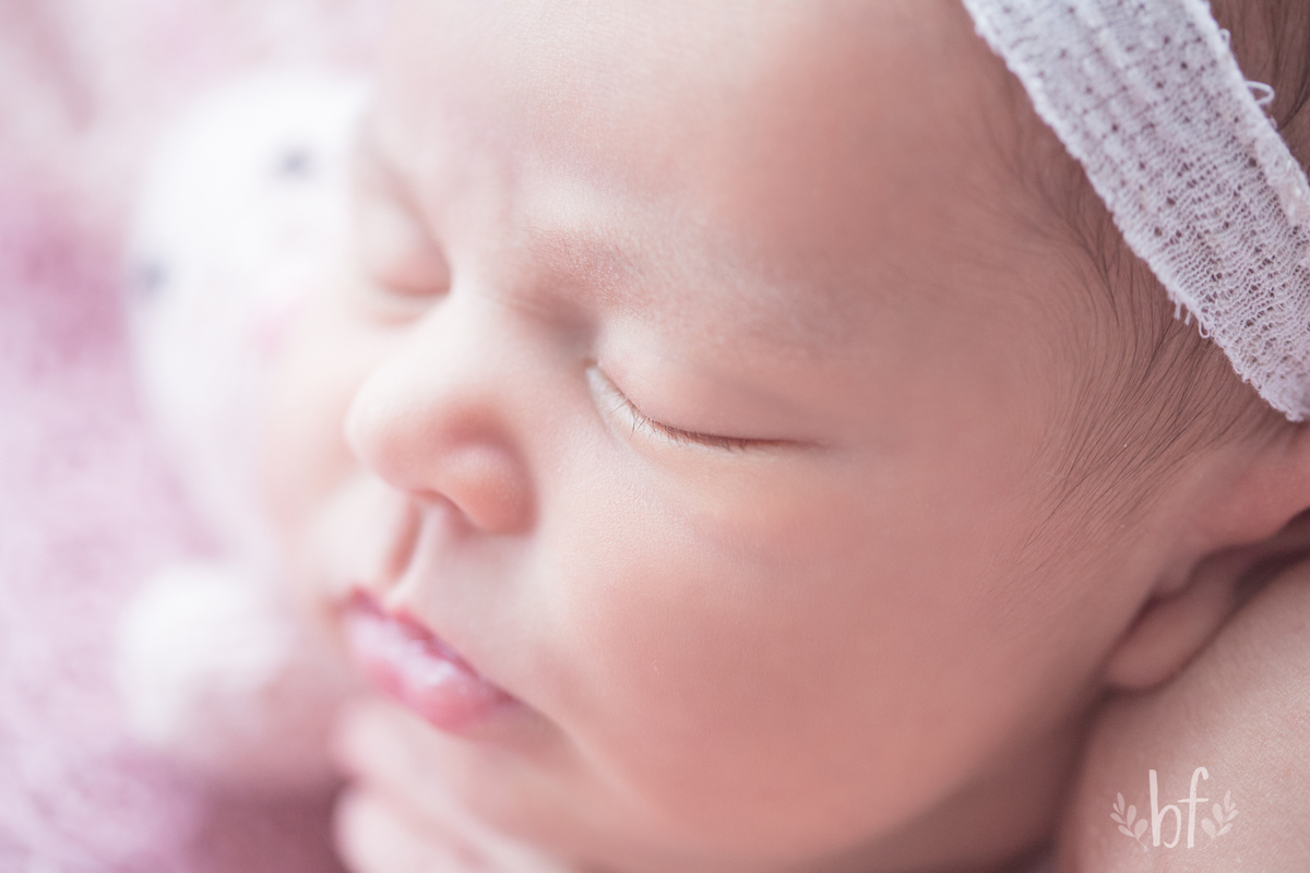 workshop de fotografia newborn em belo horizonte