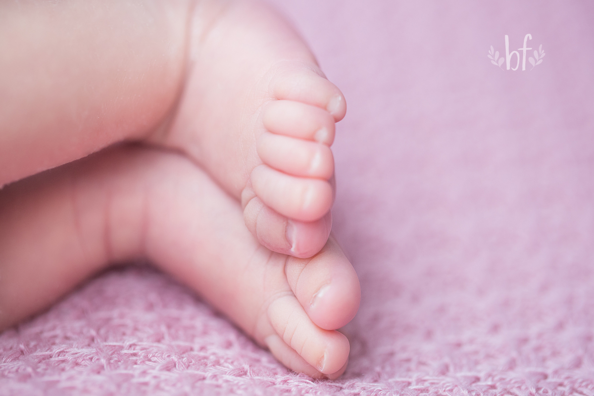 workshop de fotografia newborn em belo horizonte