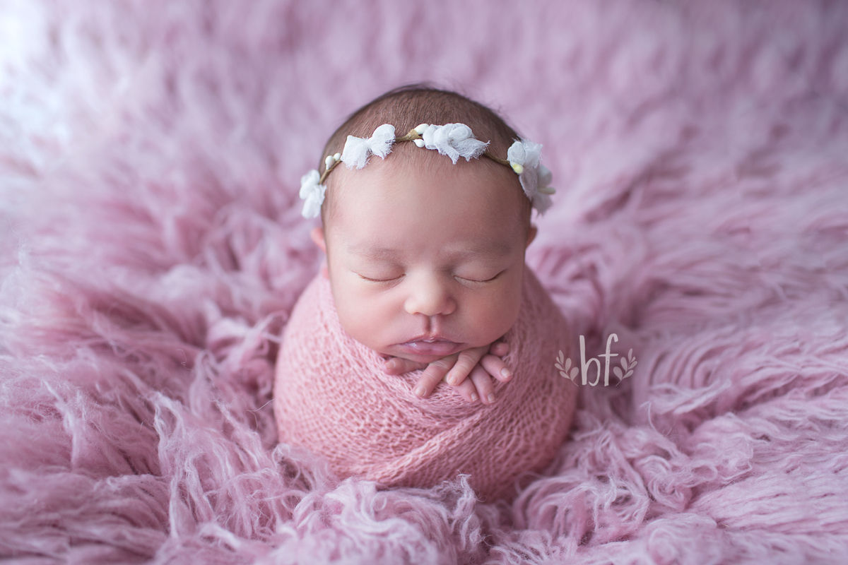 workshop de fotografia newborn em belo horizonte