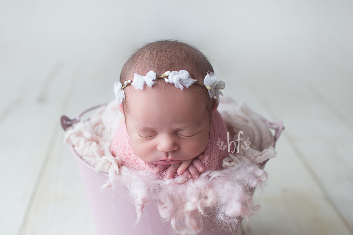 workshop de fotografia newborn em belo horizonte