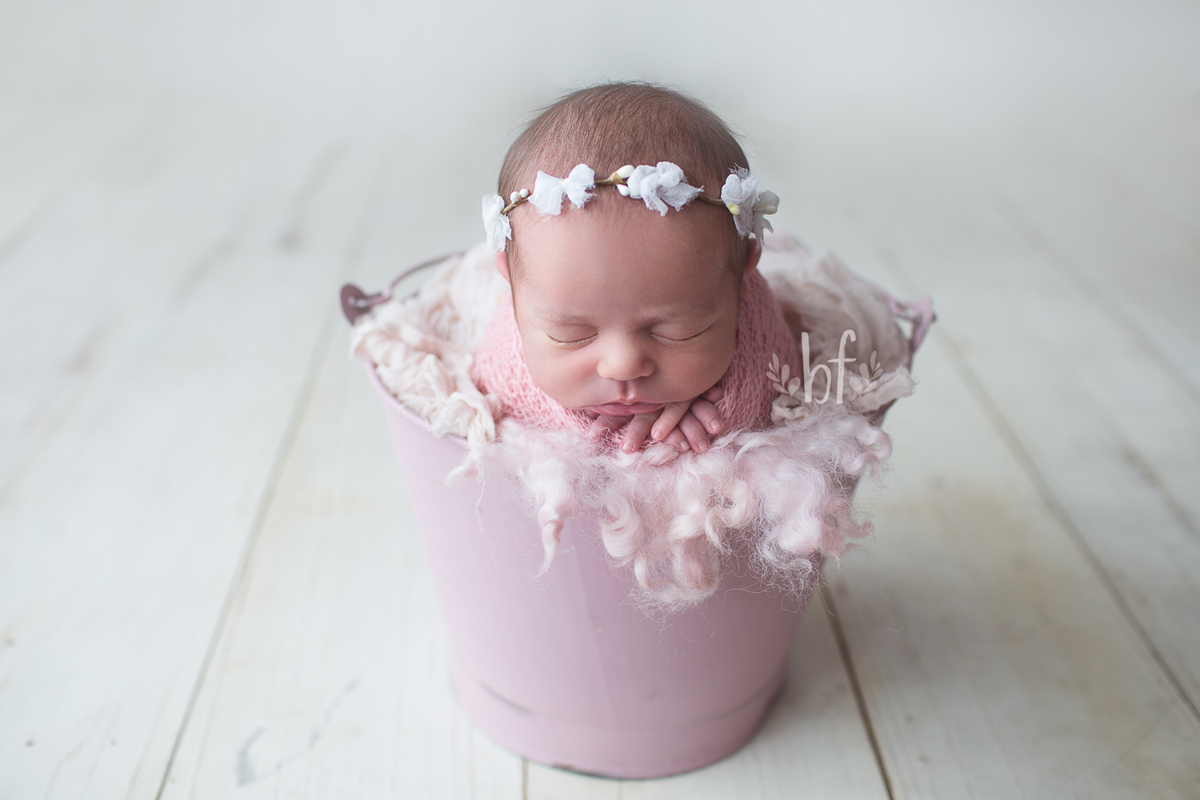 workshop de fotografia newborn em belo horizonte