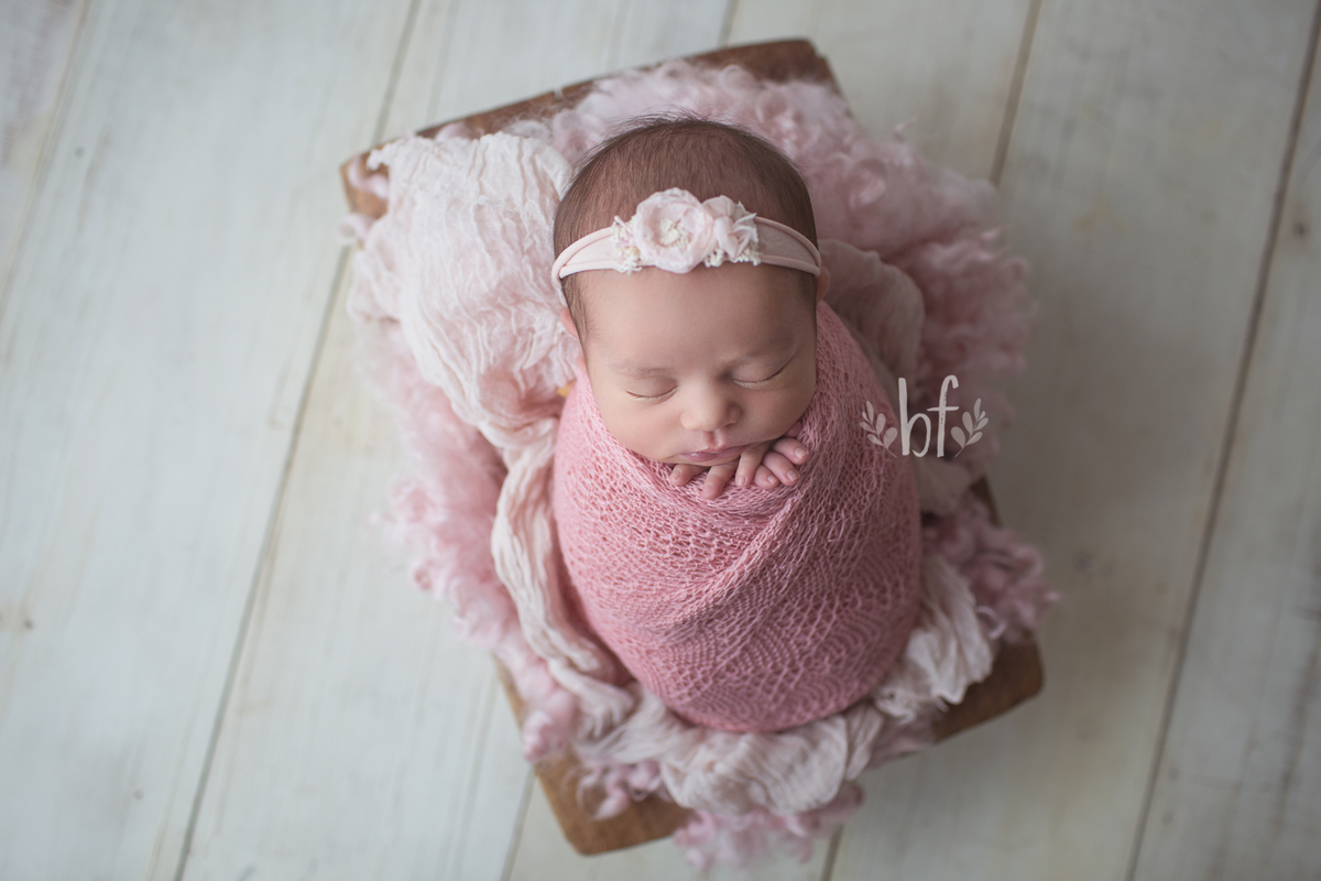 workshop de fotografia newborn em belo horizonte