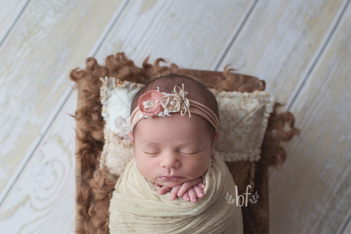 workshop de fotografia newborn em belo horizonte