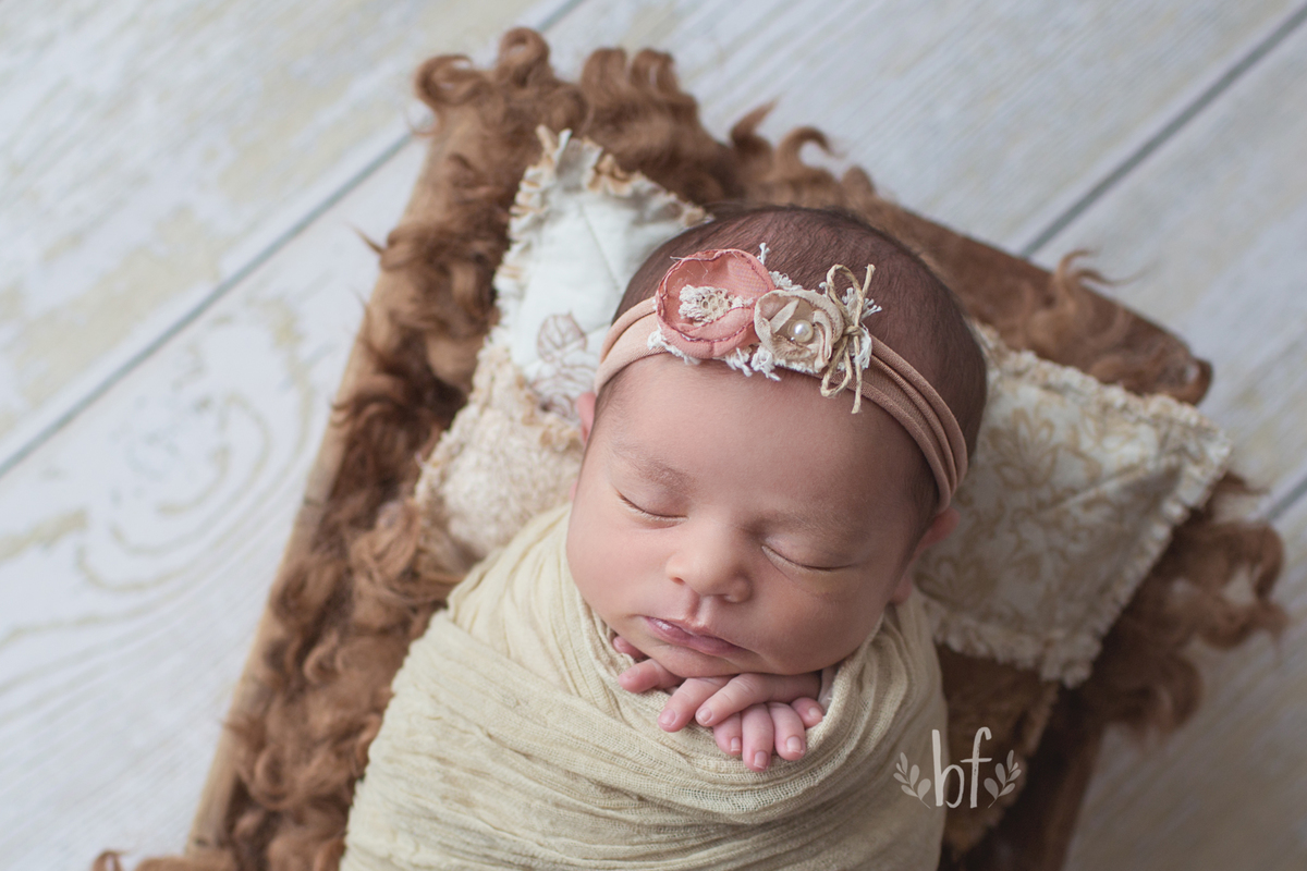 workshop de fotografia newborn em belo horizonte