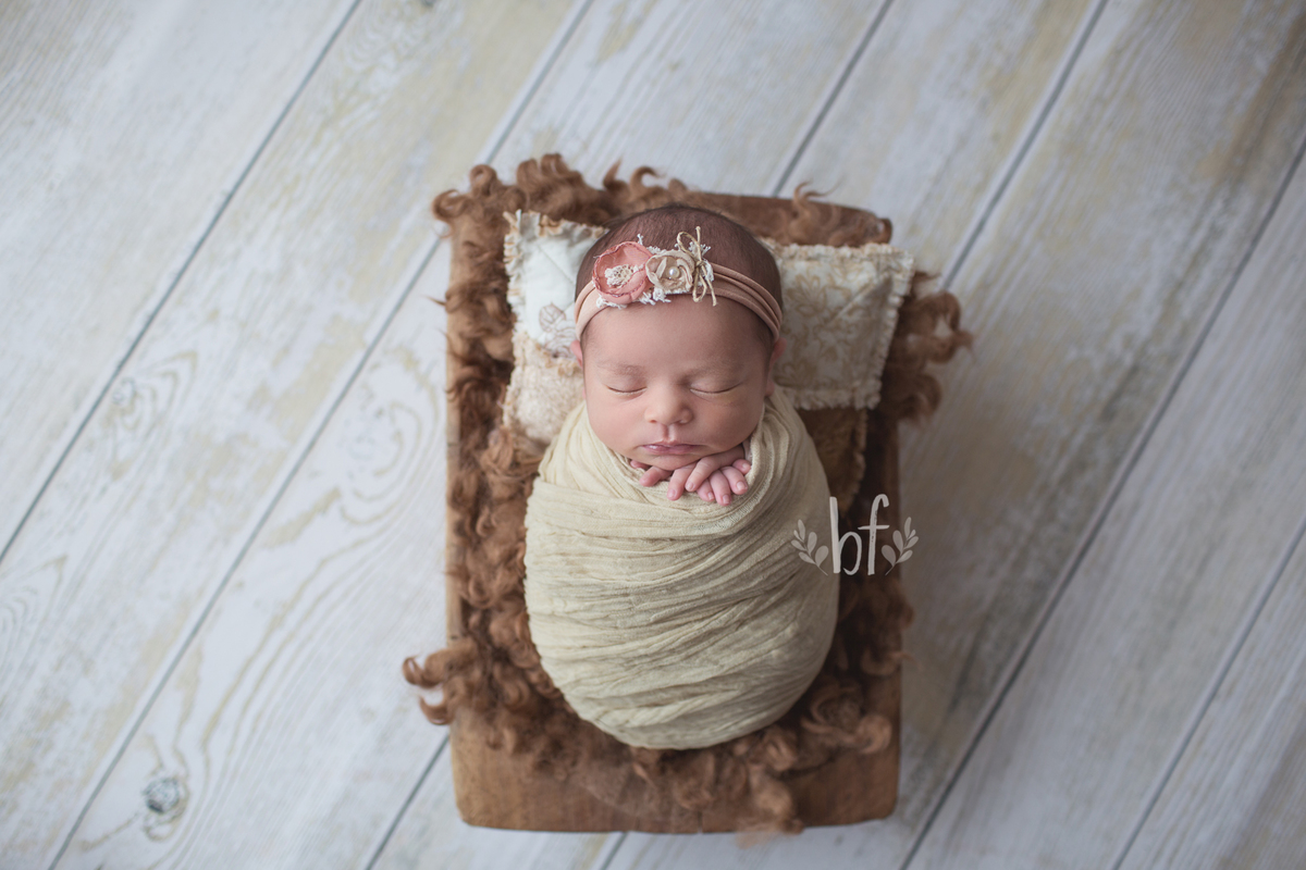 workshop de fotografia newborn em belo horizonte