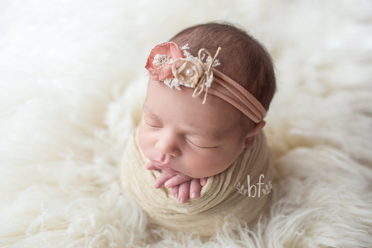 workshop de fotografia newborn em belo horizonte