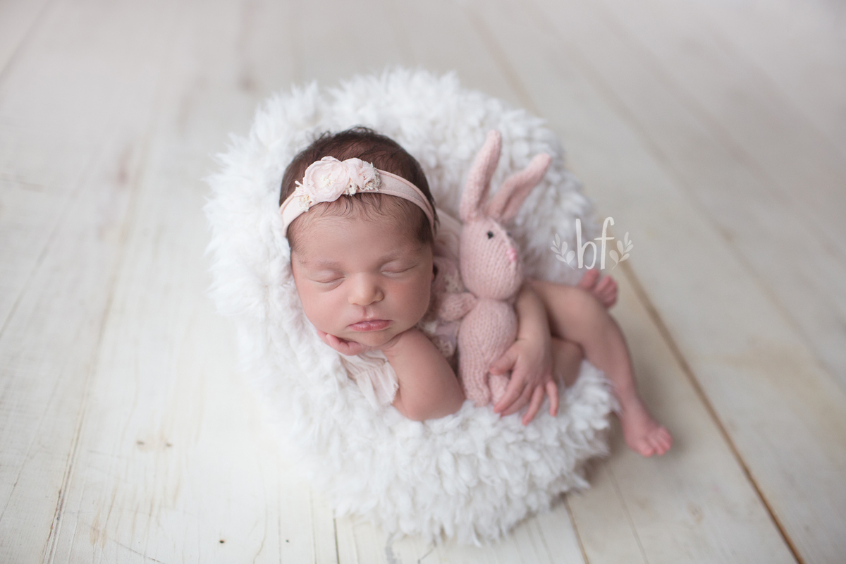 workshop de fotografia newborn em belo horizonte