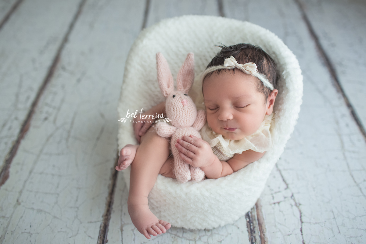 book recém nascido bel ferreira