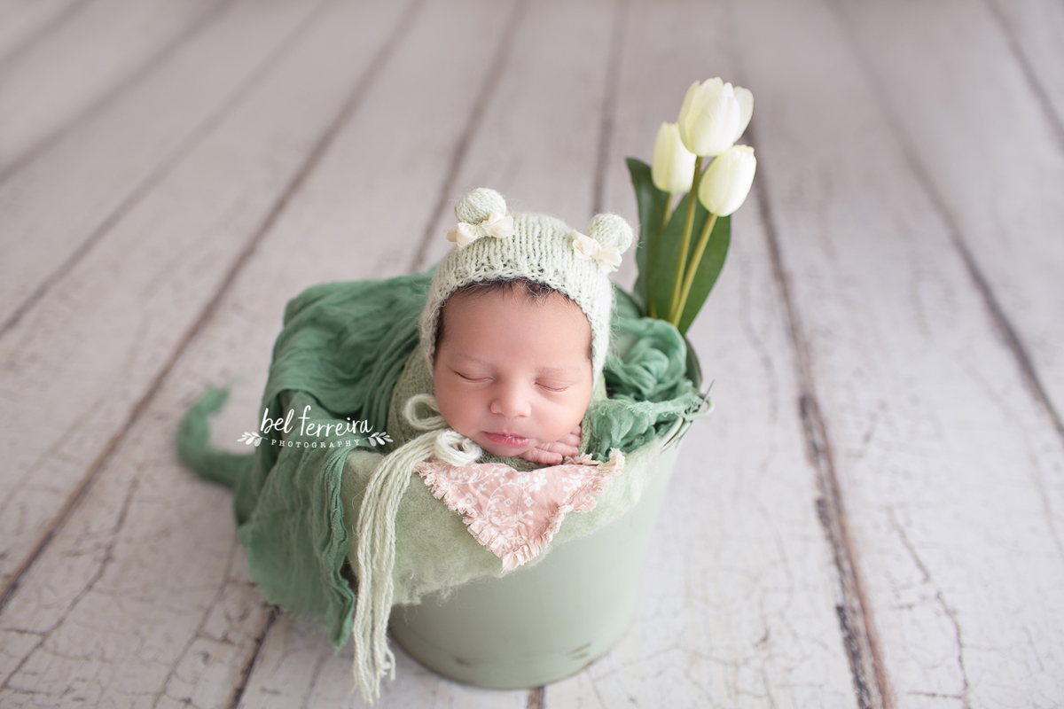 book recém nascido bel ferreira