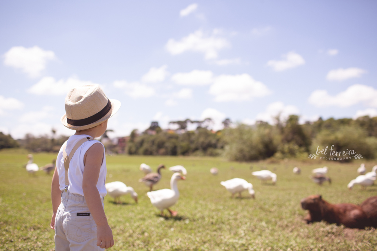 book-infantil-bel-ferreira