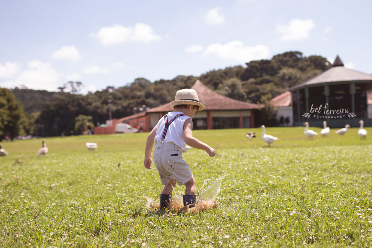 book-infantil-bel-ferreira