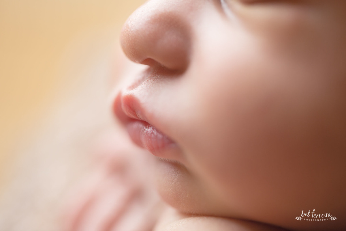 book-recém-nascido-otto-bel-ferreira-curitiba