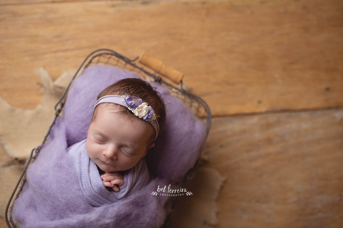 book-newbor-curitoba-bel-ferreira