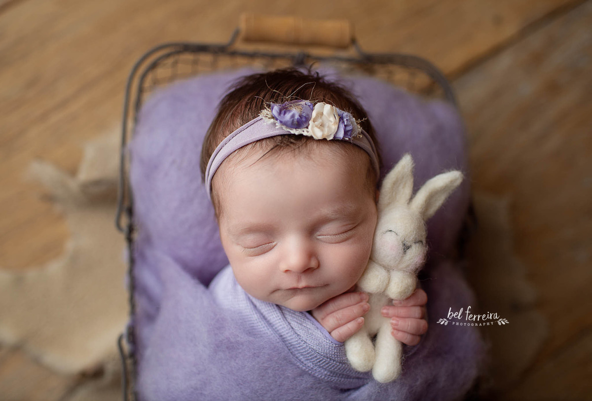 book-newbor-curitoba-bel-ferreira