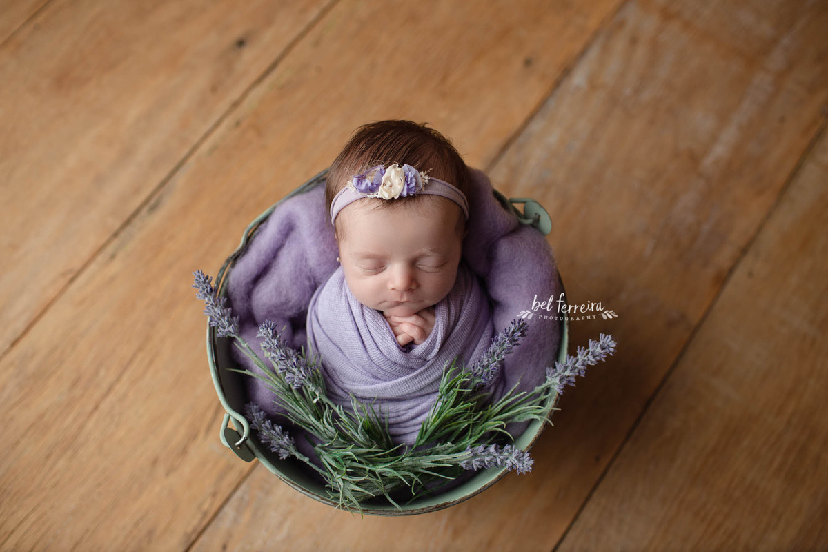 book-newbor-curitoba-bel-ferreira