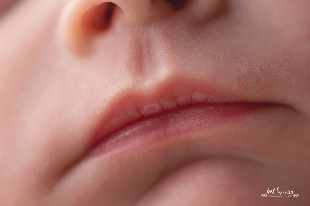 book-newbor-curitoba-bel-ferreira