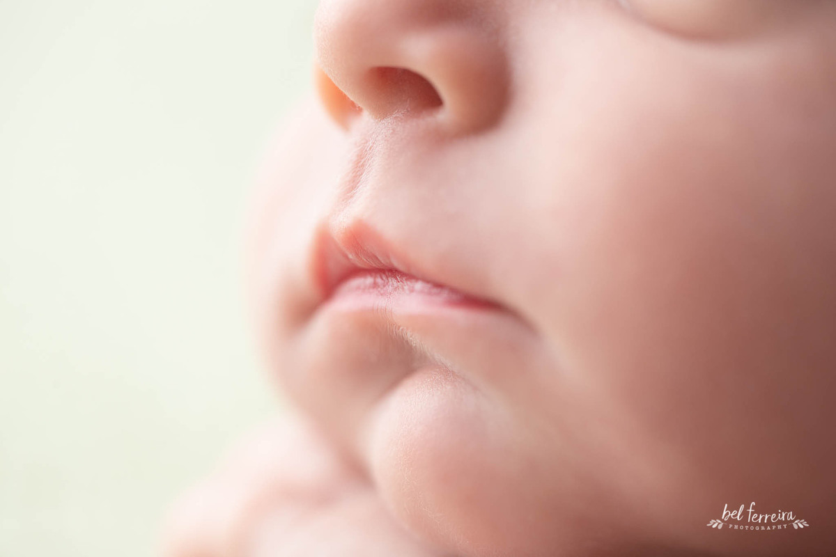 book-newbor-curitoba-bel-ferreira