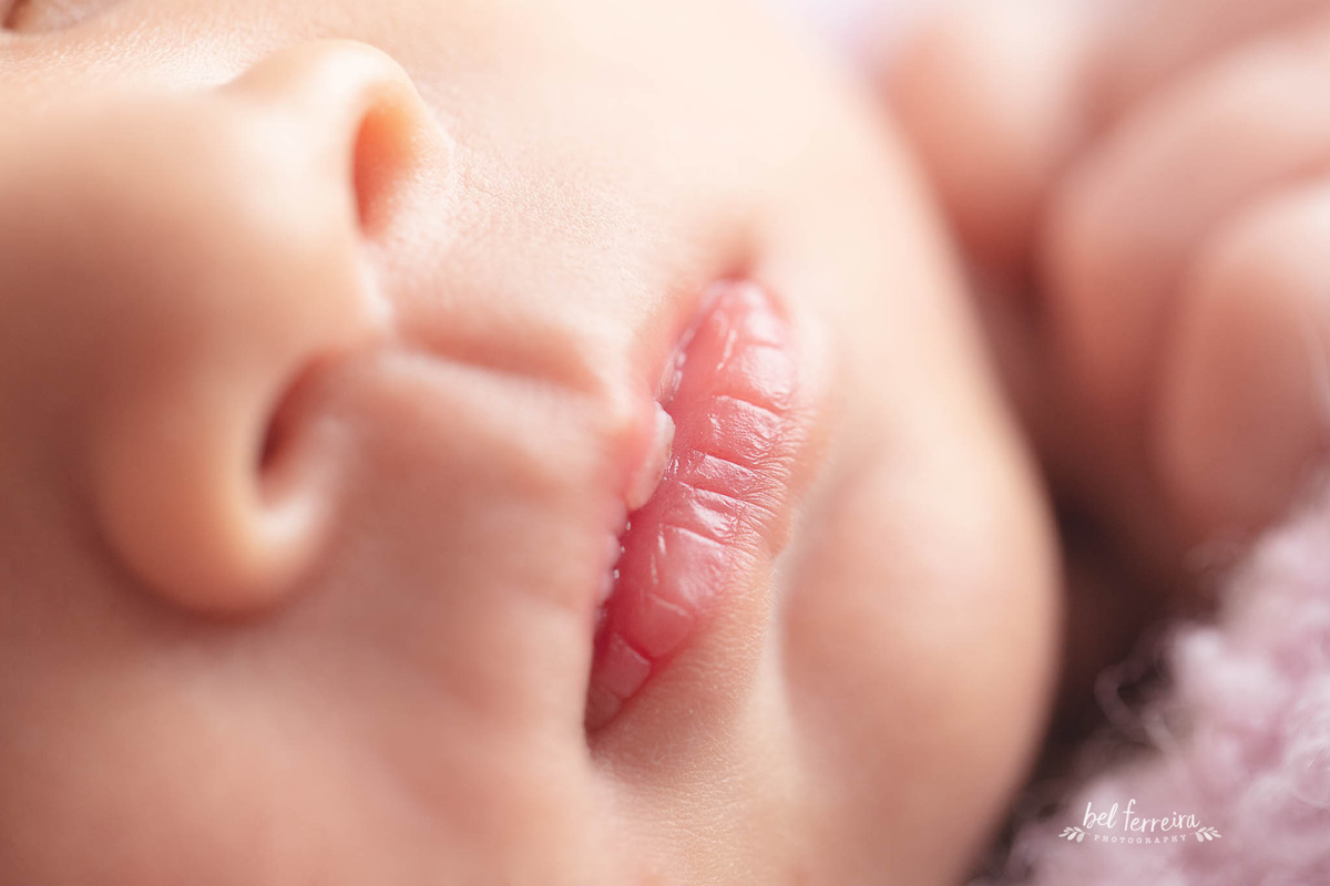 book newborn Curitiba Bel Ferreira