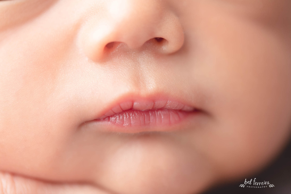 book newborn curitiba bel ferreira