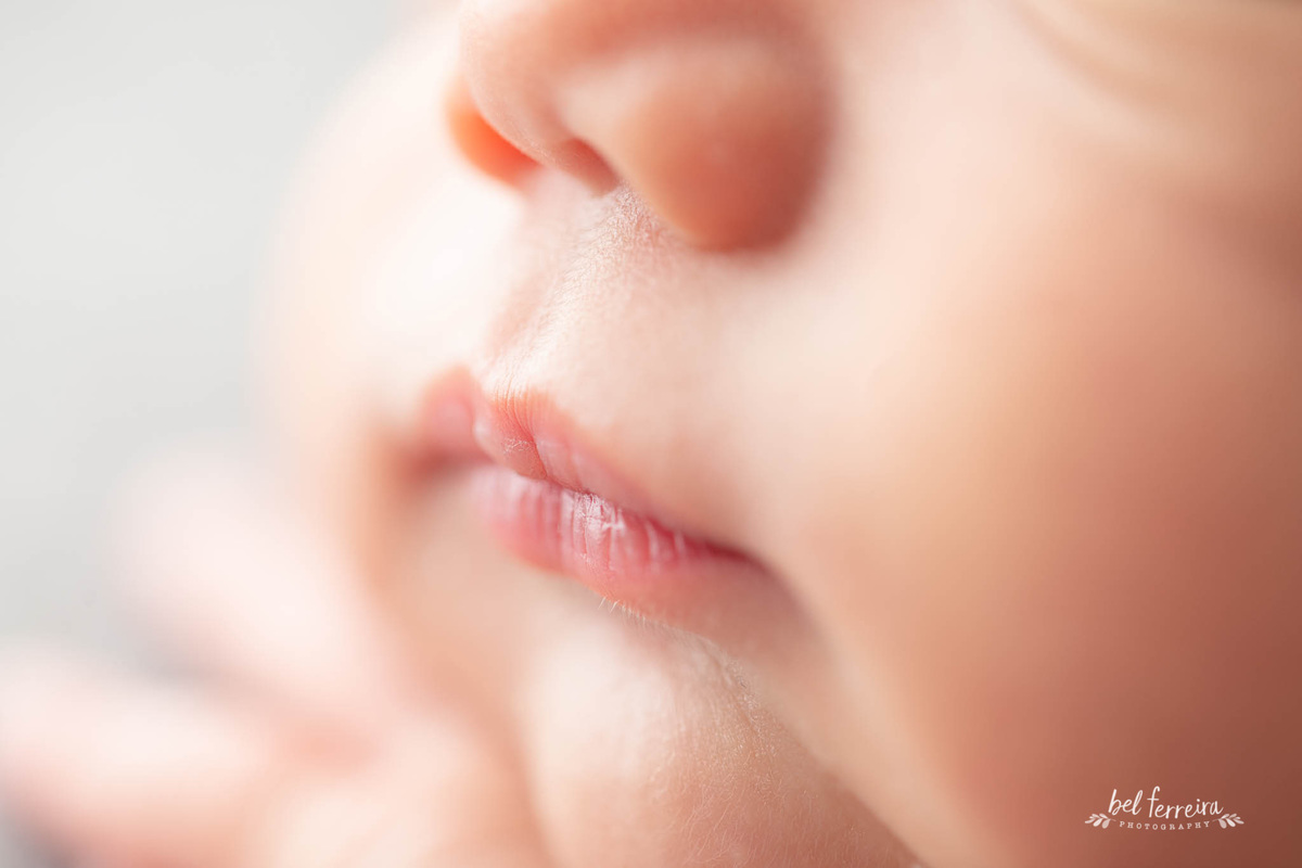 book newborn curitiba bel ferreira