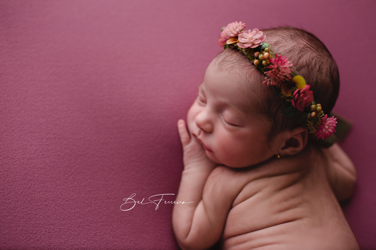 book newborn curitiba bel ferreira