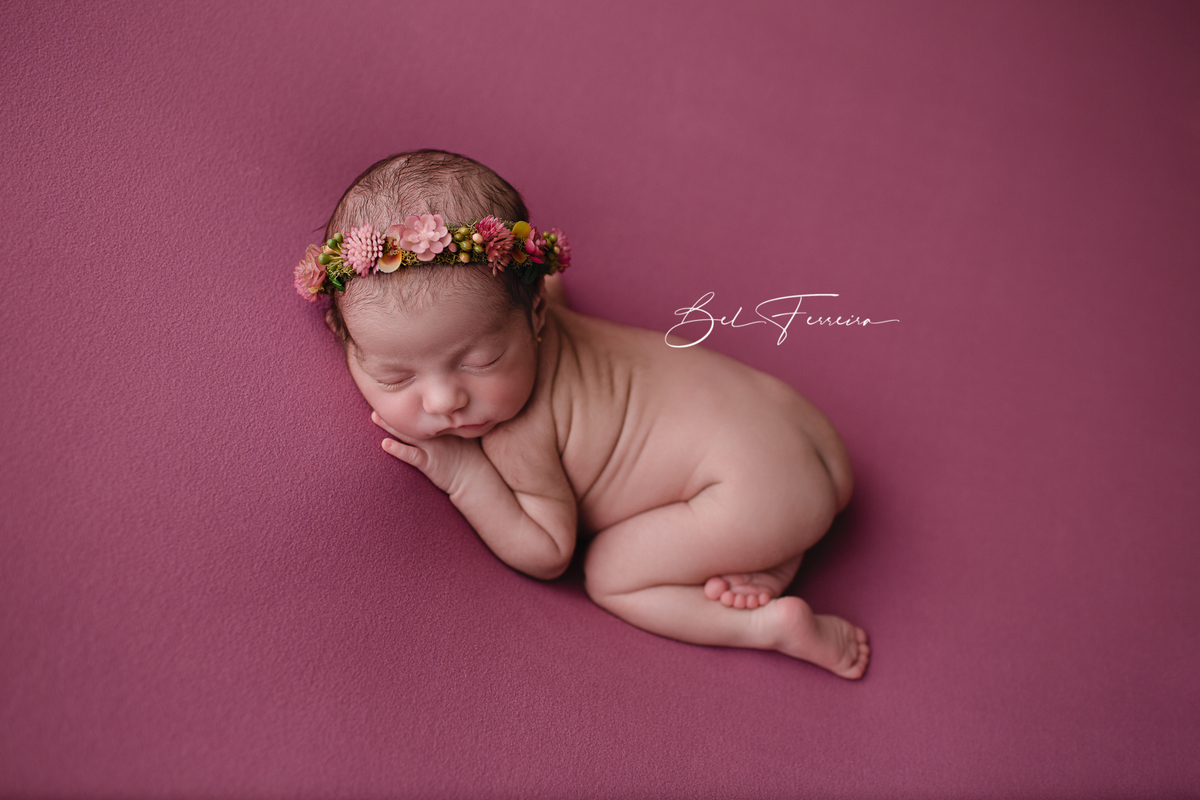 book newborn curitiba bel ferreira