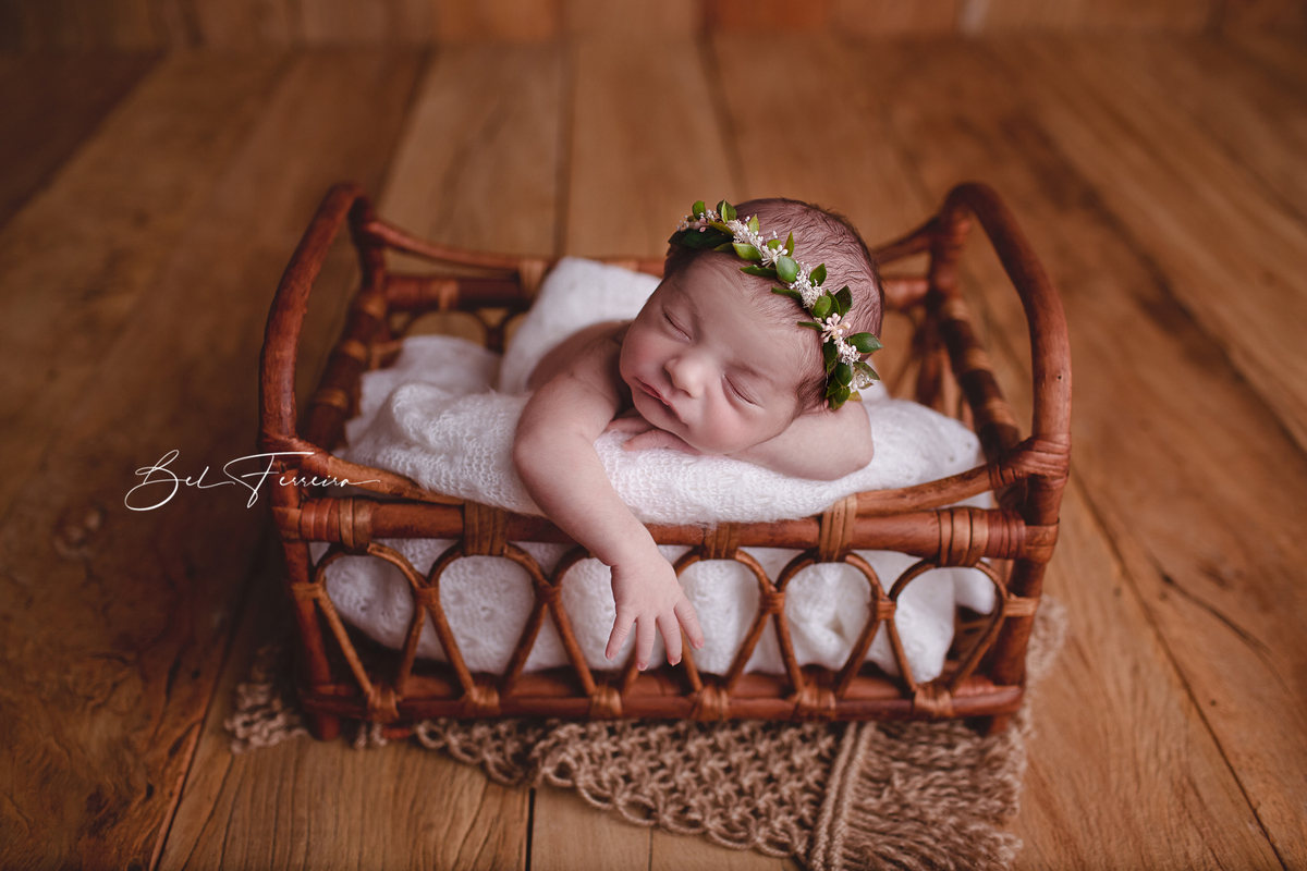 book newborn curitiba bel ferreira