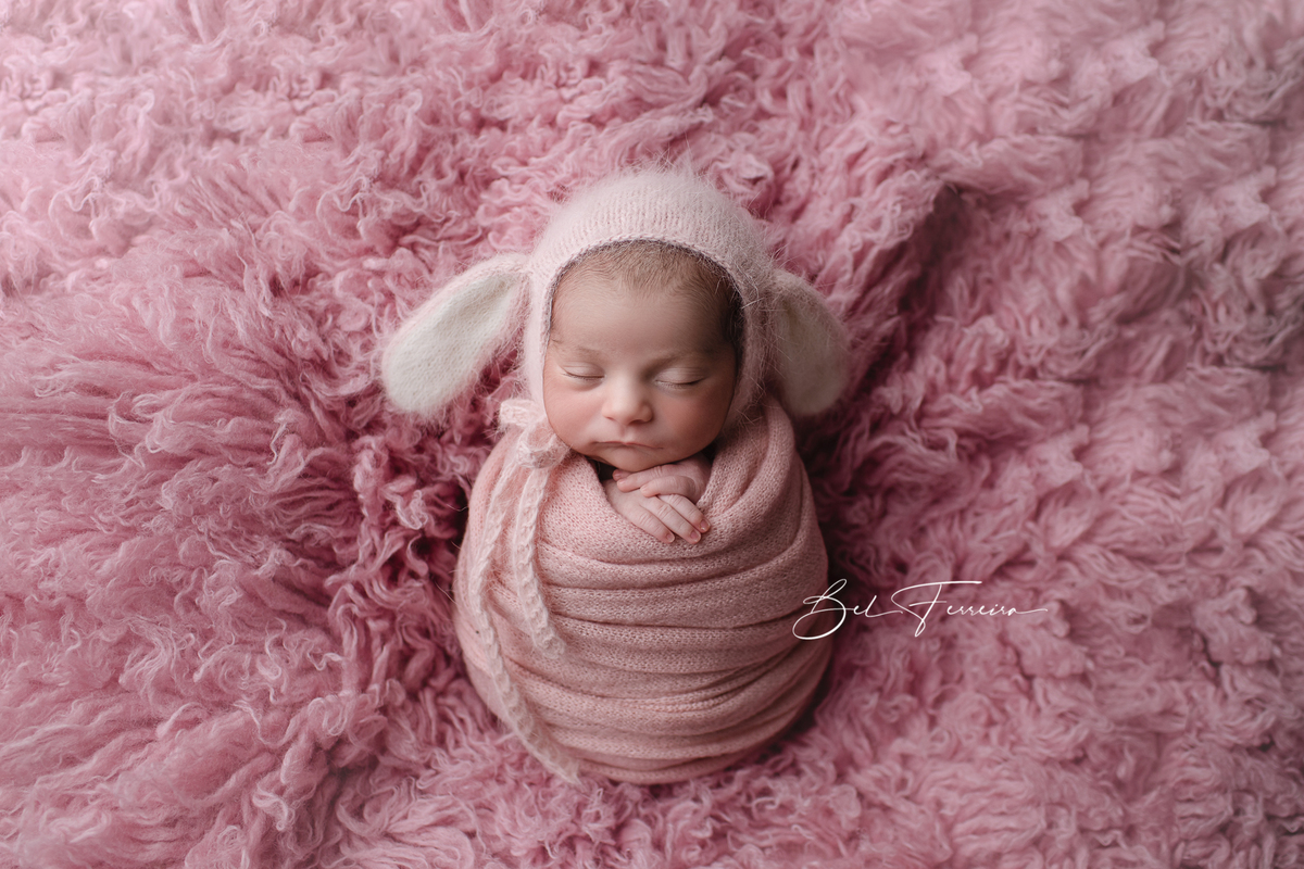 book newborn curitiba bel ferreira