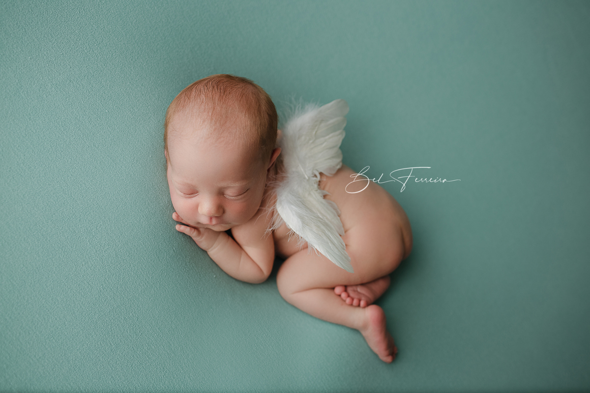 book newborn Bel Ferreira