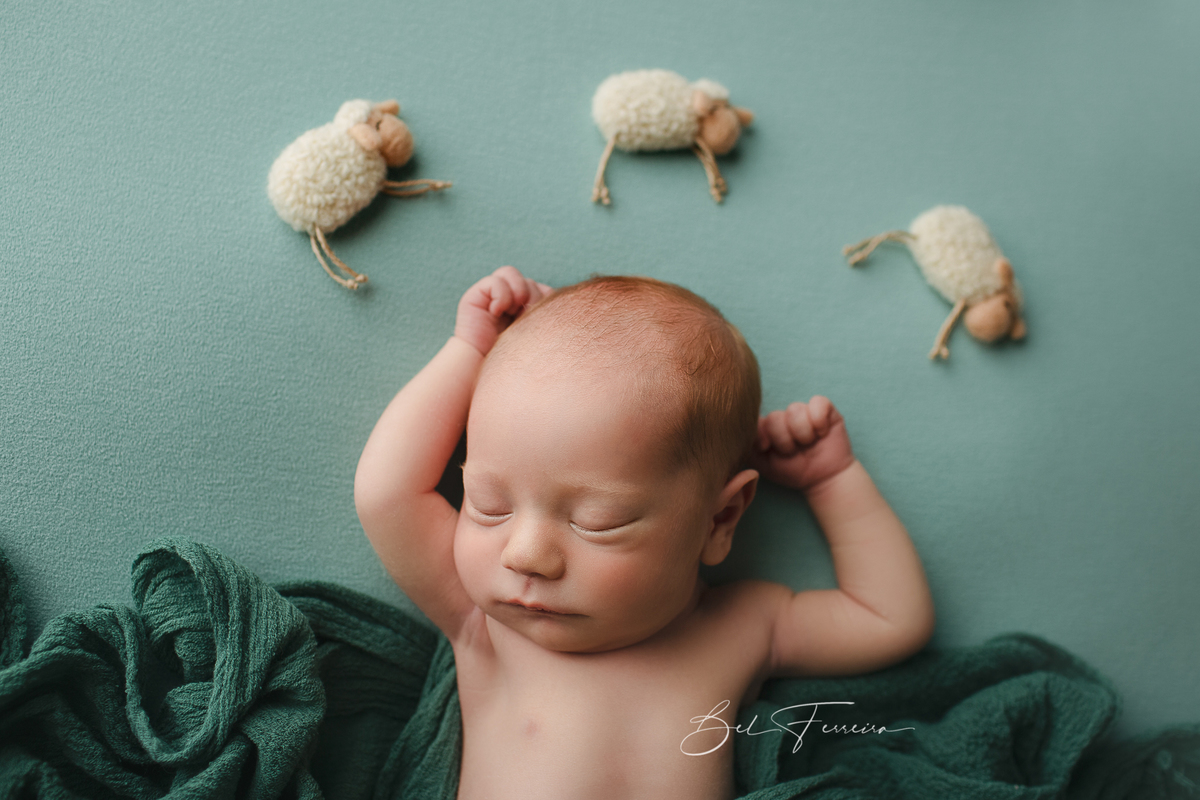 book newborn Bel Ferreira
