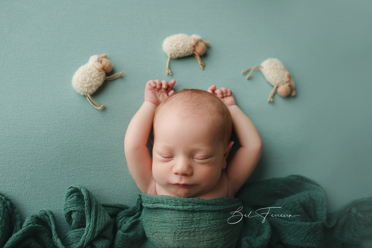 book newborn Bel Ferreira
