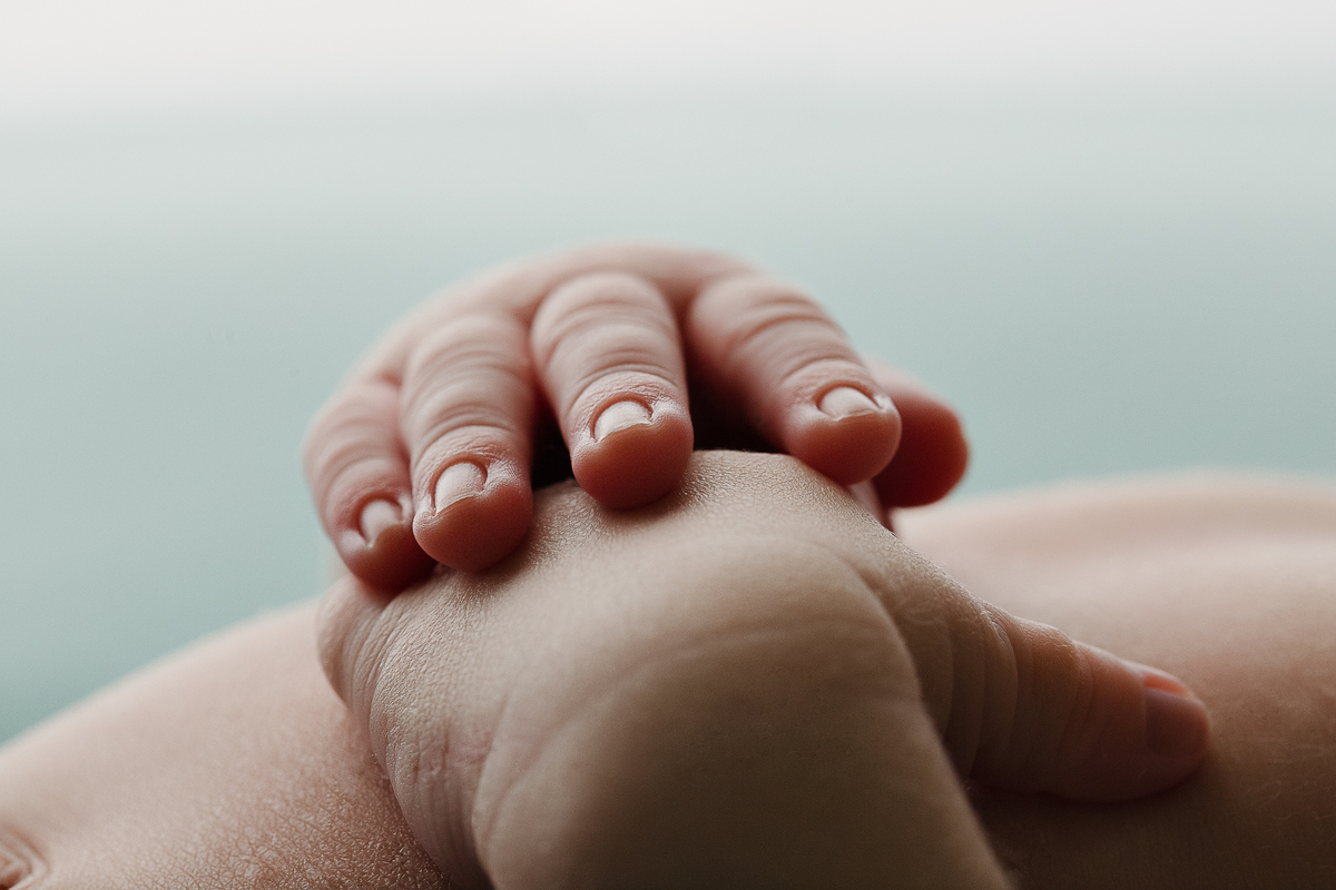 book newborn Bel Ferreira