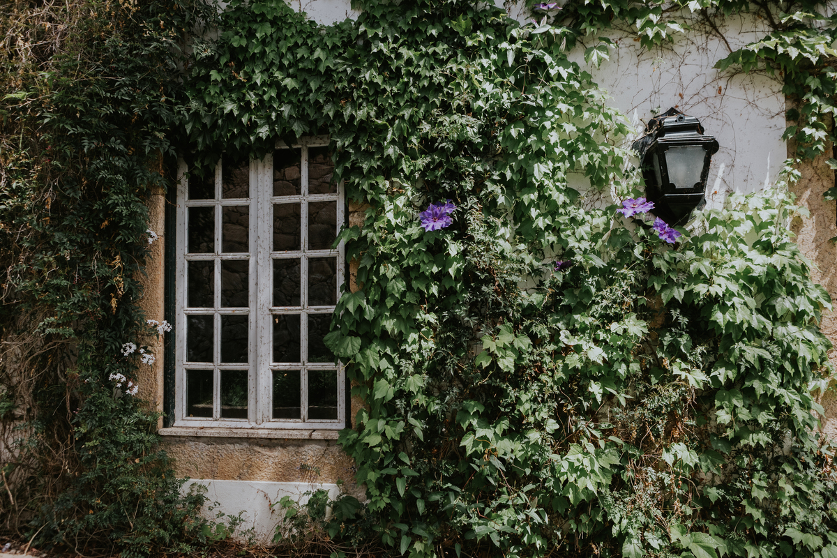 Exterior jardim hotel rural casa viscondes varzea