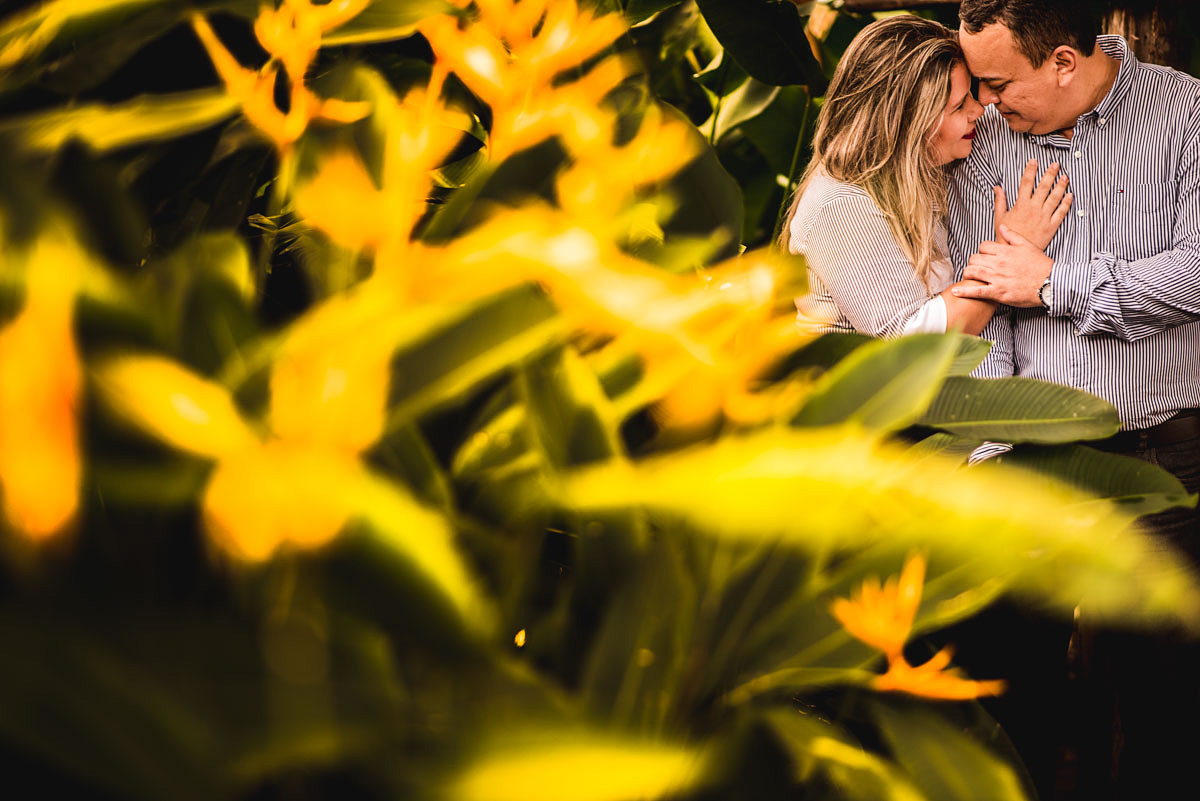 casal de noivos no mangal em belem