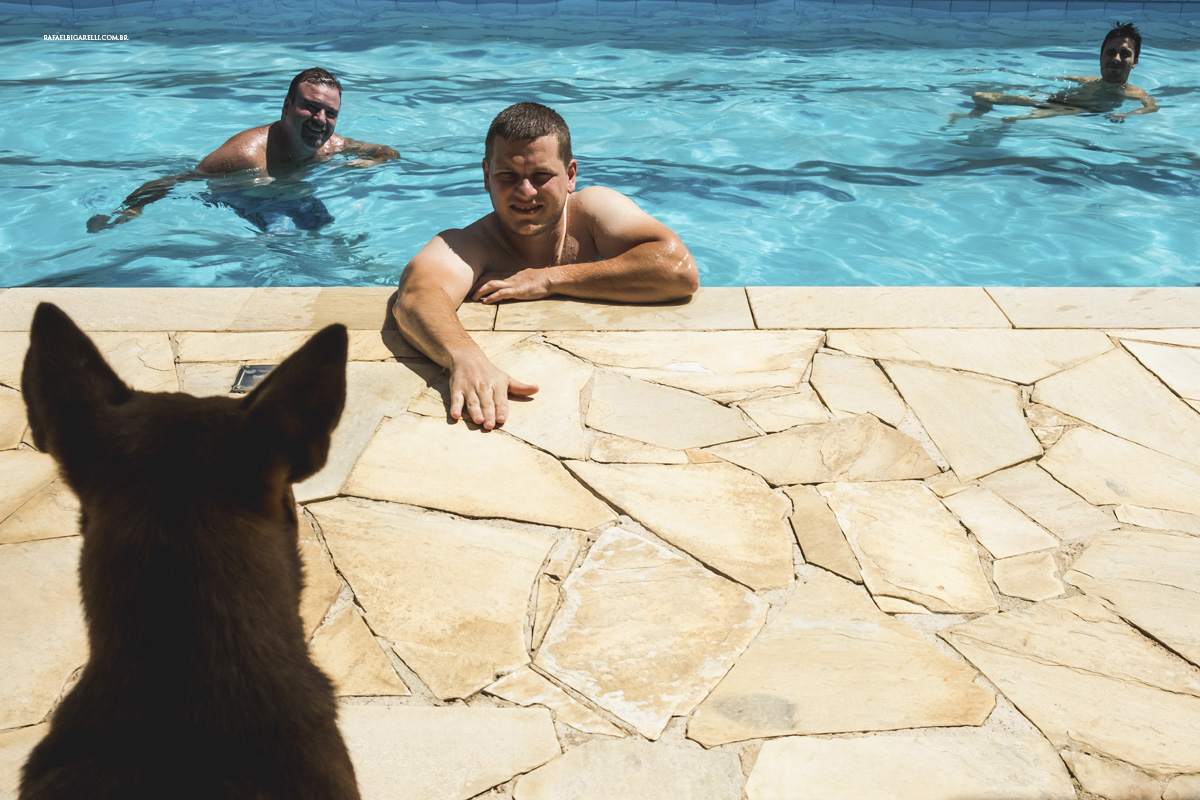 cachorro noivo piscina