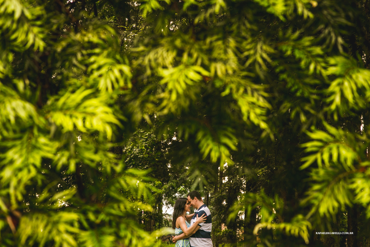 noivos no parque das grevilleas em Maringá - pR