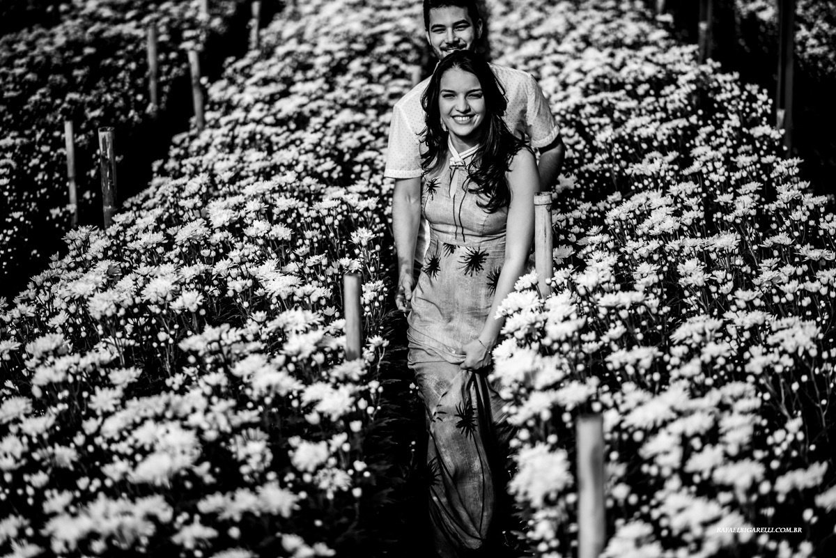 fotos de casais holambra-sp