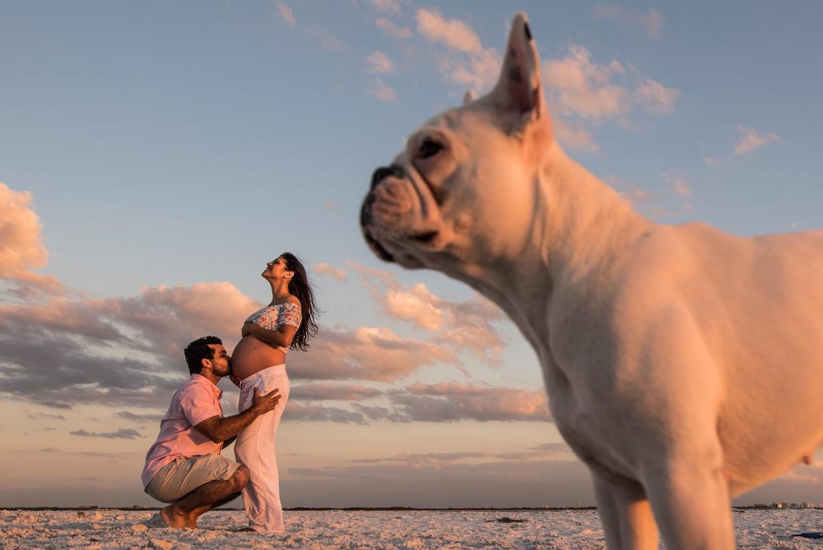 fotografia ensaio de gestante com pet cachorro fotos na praia eua tampa