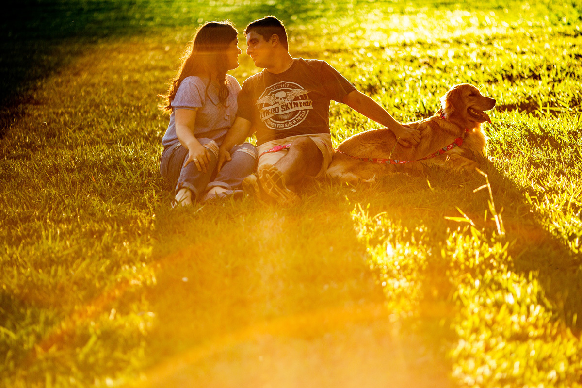 fotos de casamento com cachorro