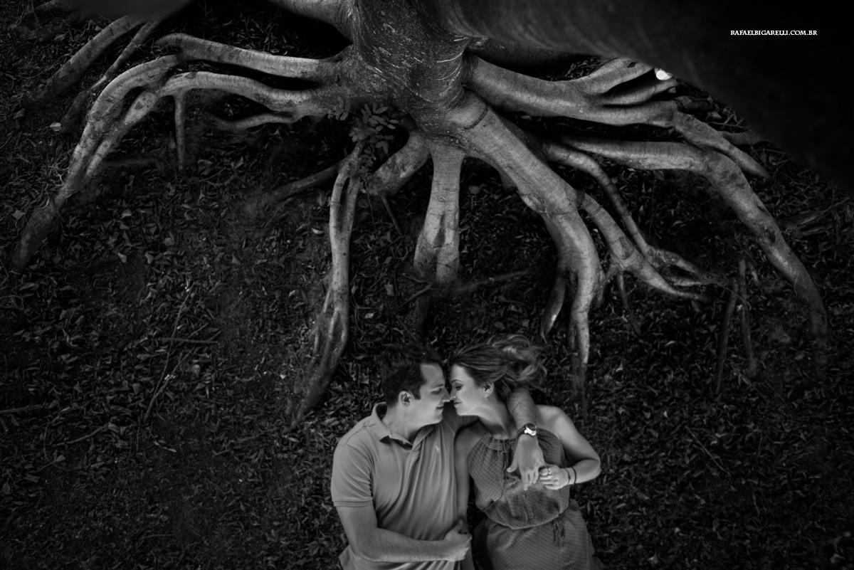 fotos de pre casamento na natureza