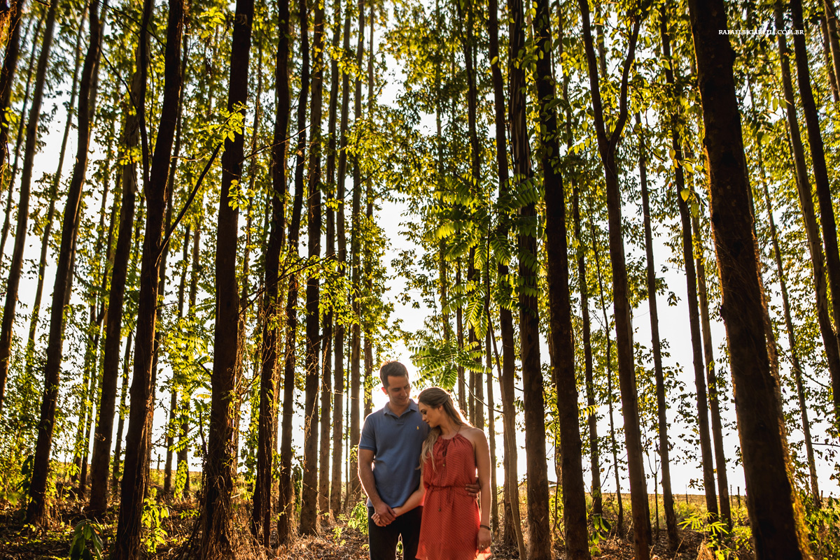 fotos de noivos na plantação de eucalipto