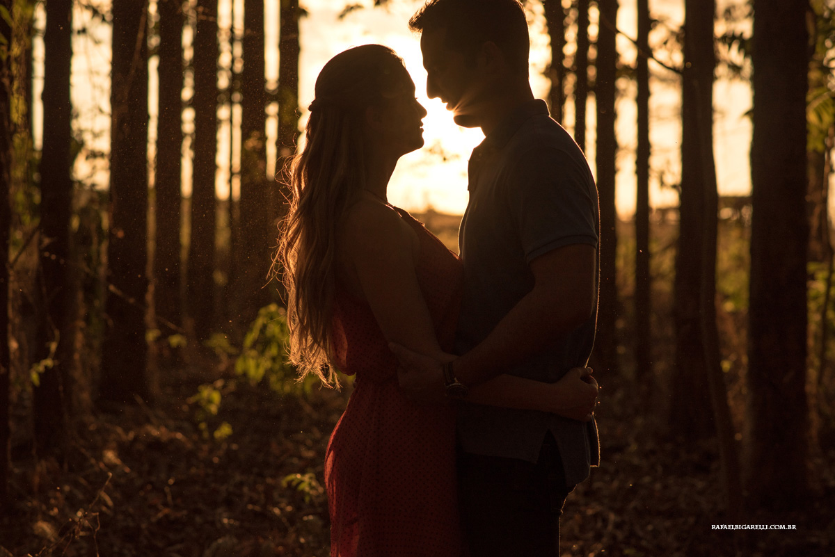 fotos de pre wedding no por do sol