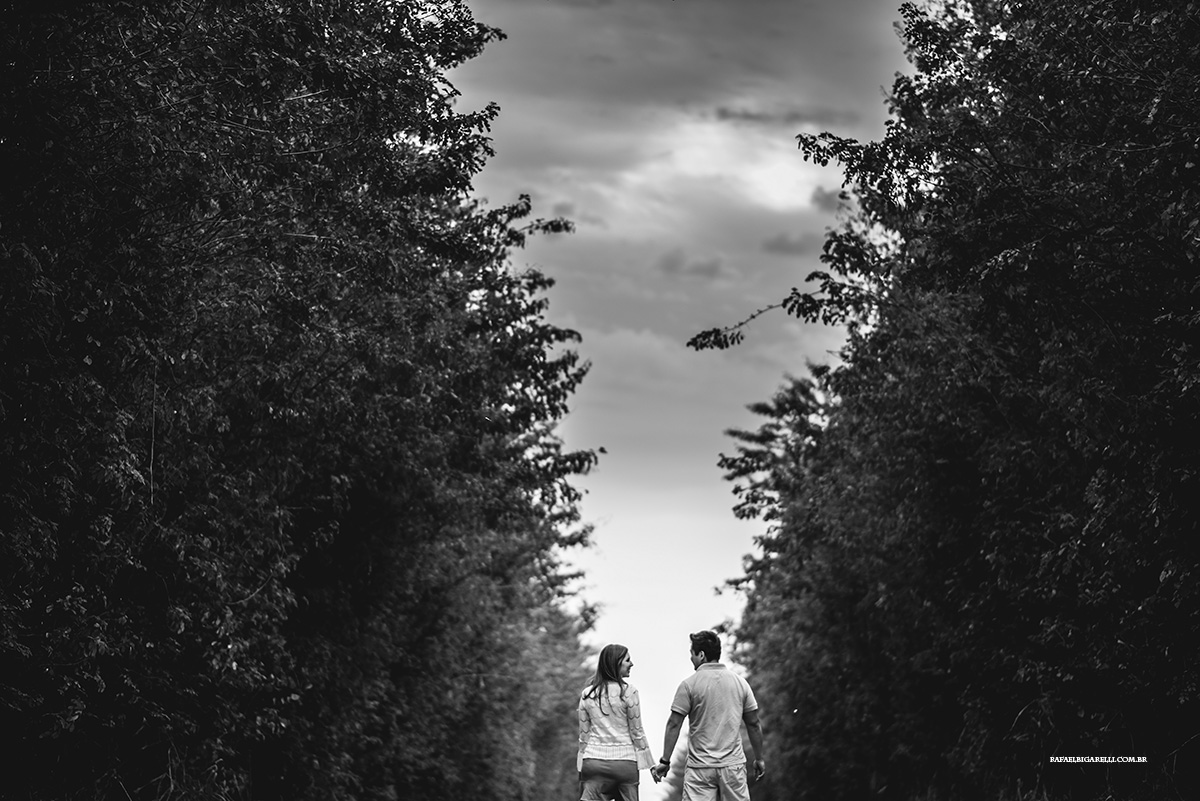 sessao de pre casamento na natureza